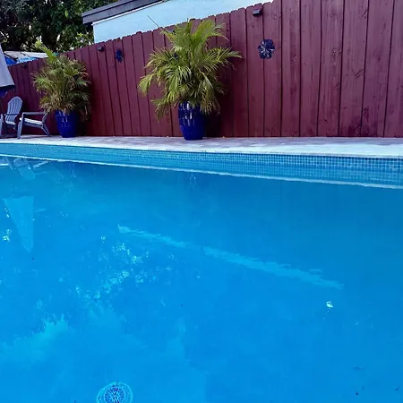 Oasis Pool In Miami, Coconut Gove, Um, Downtown Miami Villa Exterior photo