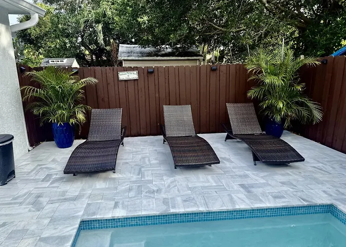 Oasis Pool In Miami, Coconut Gove, Um, Downtown Miami